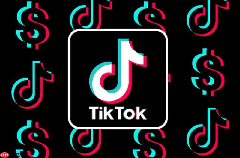 tiktok粉丝消息收不到怎么办 tiktok粉丝消息接收修复技巧