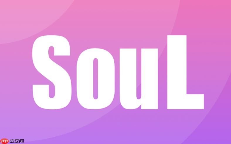 soul以前的匹配记录在哪里可以查看_soul匹配历史查看方法