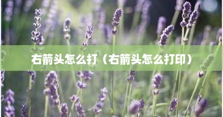 右箭头怎么打（右箭头怎么打印）