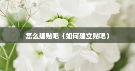 怎么建贴吧（如何建立贴吧）