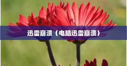 迅雷崩溃（电脑迅雷崩溃）