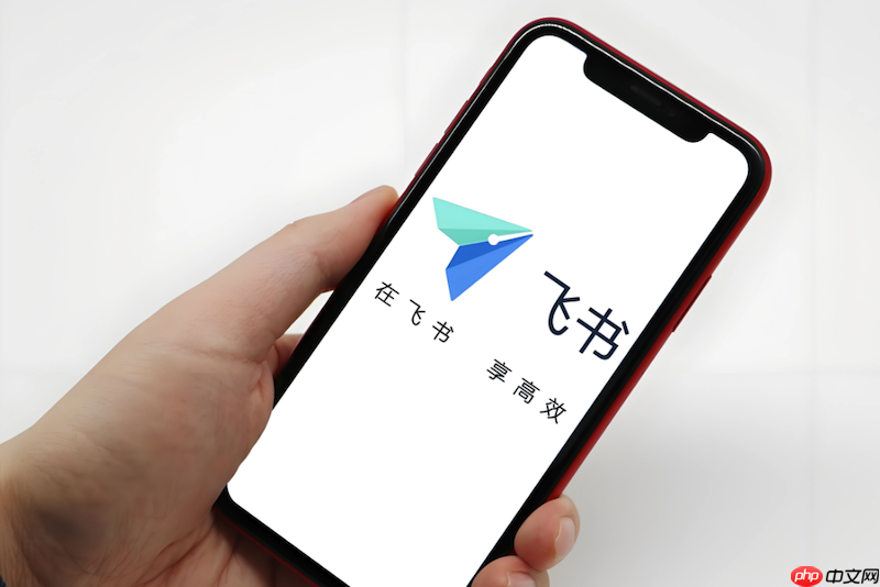 飞书视频通话画面卡顿怎么办 飞书视频播放优化与网络设置方法