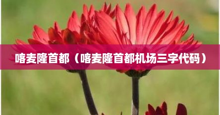 喀麦隆首都（喀麦隆首都机场三字代码）