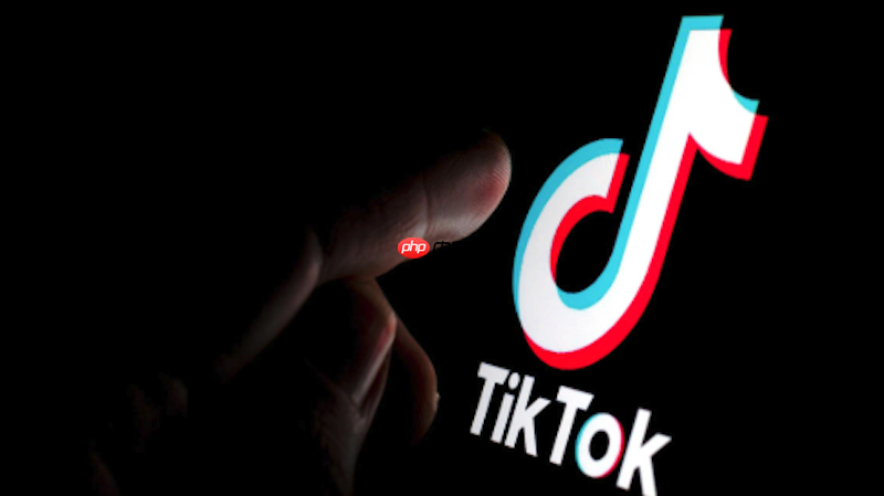 tiktok搜索不到笔记怎么办 tiktok笔记搜索优化与操作方法