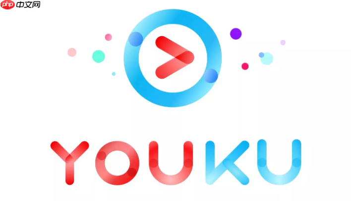 优酷会员可以用花呗分期付款吗_优酷会员支付方式与分期说明