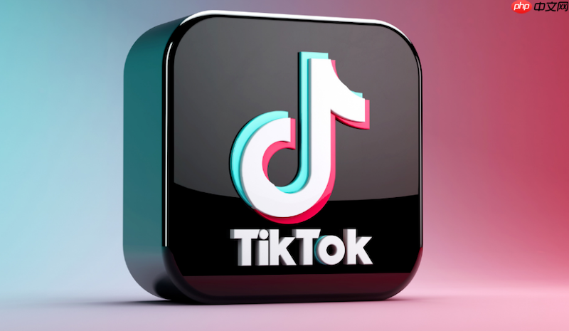 tiktok官方账号入口指南 tiktok网页版账号登录教程