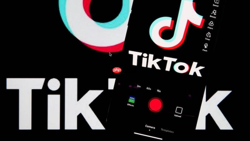 tiktok官网首页入口 tiktok网页版账号登录