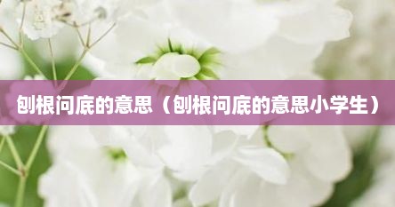 刨根问底的意思（刨根问底的意思小学生）