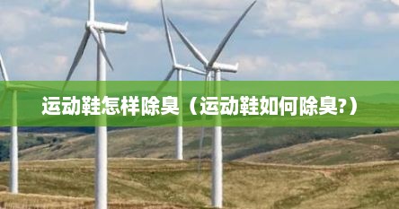 运动鞋怎样除臭（运动鞋如何除臭?）