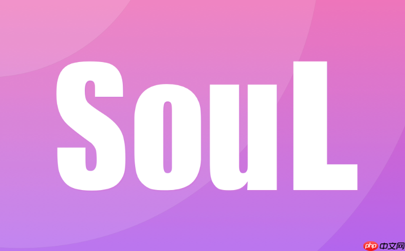 soul怎么导出自己的聊天记录_soul聊天记录导出方法