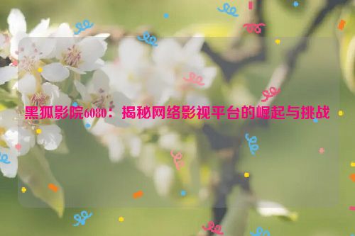 黑狐影院6080：揭秘网络影视平台的崛起与挑战