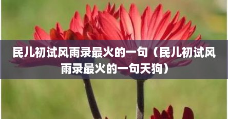 民儿初试风雨录最火的一句（民儿初试风雨录最火的一句天狗）