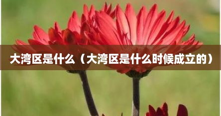 大湾区是什么（大湾区是什么时候成立的）