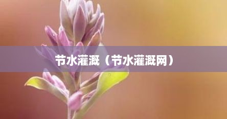 节水灌溉（节水灌溉网）