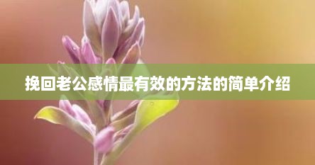 挽回老公感情最有效的方法的简单介绍
