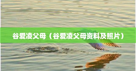 谷爱凌父母（谷爱凌父母资料及照片）