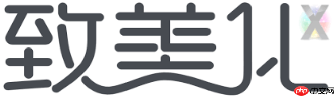 2026致美化美容软件入口 最新可用官方网站地址