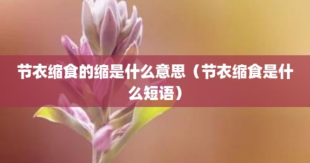 节衣缩食的缩是什么意思（节衣缩食是什么短语）