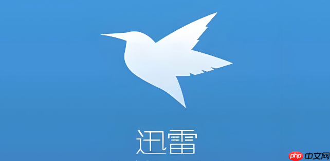 迅雷在线云盘免费登录 迅雷云盘网页版官网