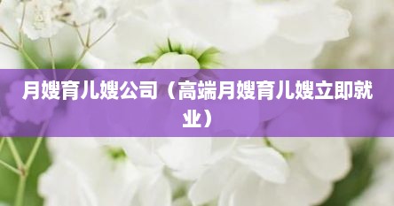 月嫂育儿嫂公司（高端月嫂育儿嫂立即就业）
