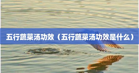 五行蔬菜汤功效（五行蔬菜汤功效是什么）