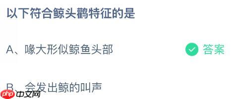 以下符合鲸头鹳特征的是什么?蚂蚁庄园今日答案最新11.27