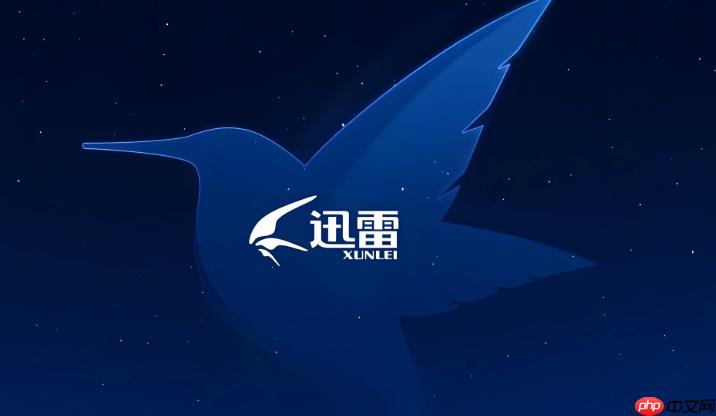 迅雷的下载加速体验会员是什么_迅雷下载加速体验会员说明