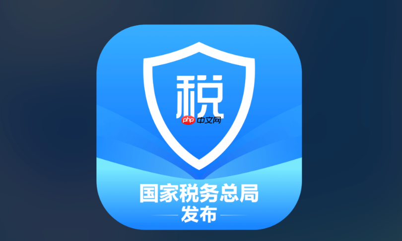 个人所得税网页版查询入口 官方web端办理入口