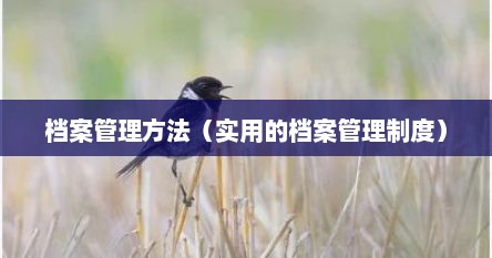 档案管理方法（实用的档案管理制度）