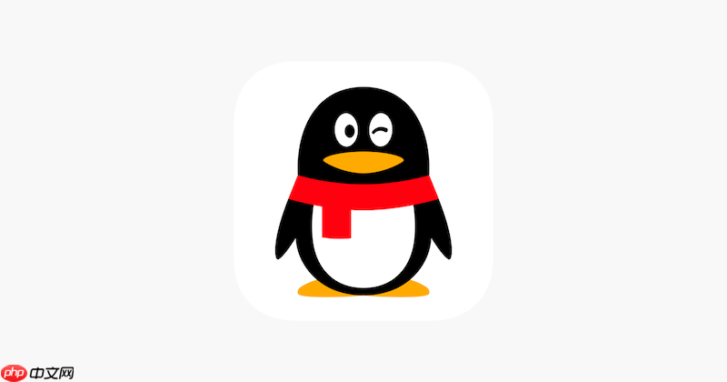 qq手机版登录官网链接 qq手机端官方地址打开