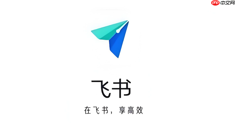 飞书视频会议无法共享屏幕怎么办 飞书屏幕共享优化技巧