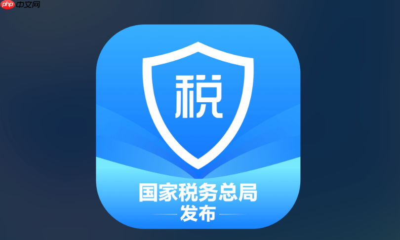 个人所得税登录入口 个人所得税官方登录入口