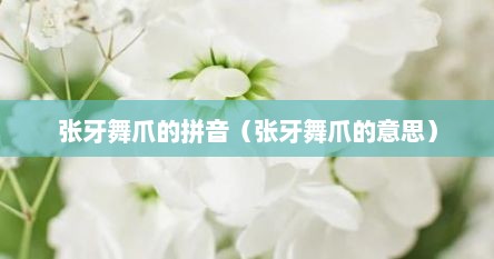 张牙舞爪的拼音（张牙舞爪的意思）