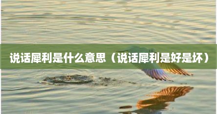 说话犀利是什么意思（说话犀利是好是坏）