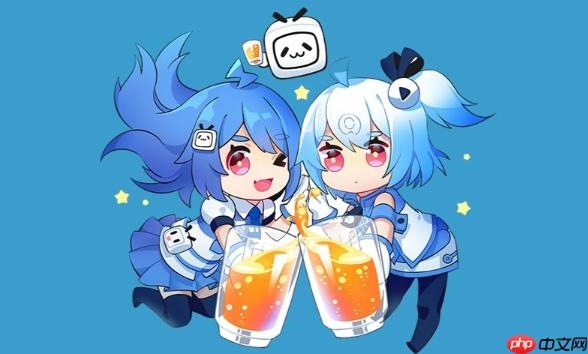 bilibili弹幕视频网官网地址_bilibili官方网站首页链接