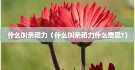 什么叫亲和力（什么叫亲和力什么意思?）