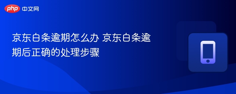 京东白条逾期怎么办 京东白条逾期后正确的处理步骤 - 乐哥常识网