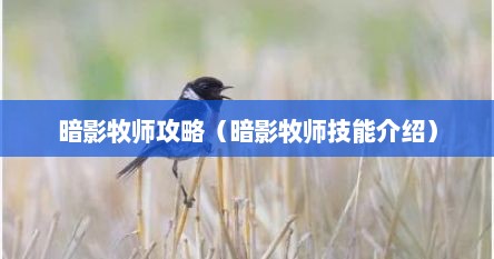 暗影牧师攻略（暗影牧师技能介绍）