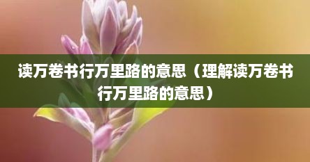 读万卷书行万里路的意思（理解读万卷书行万里路的意思）