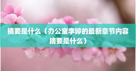 摘要是什么（办公室李婷的最新章节内容摘要是什么）