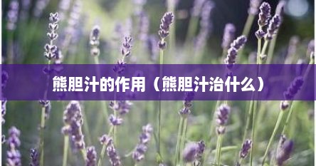 熊胆汁的作用（熊胆汁治什么）