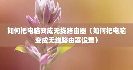 如何把电脑变成无线路由器（如何把电脑变成无线路由器设置）