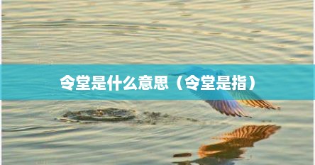 令堂是什么意思（令堂是指）