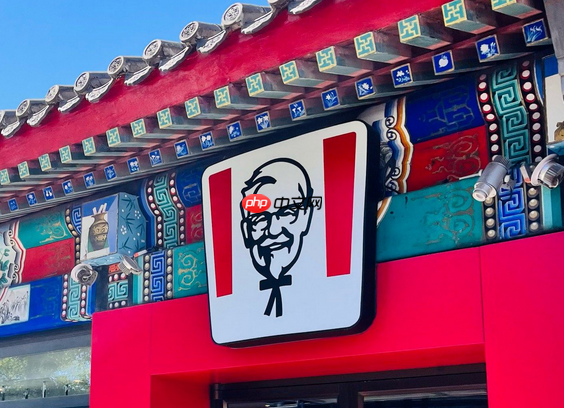 肯德基吮指原味鸡哪个部位大