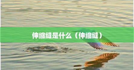 伸缩缝是什么（伸缩缝）