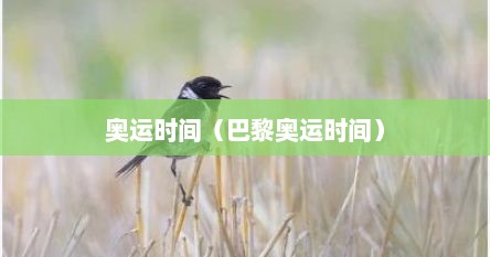 奥运时间（巴黎奥运时间）