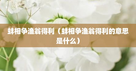蚌相争渔翁得利（蚌相争渔翁得利的意思是什么）