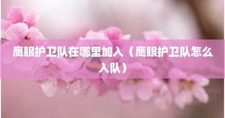 鹰眼护卫队在哪里加入（鹰眼护卫队怎么入队）