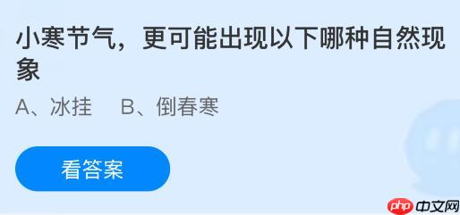 小寒节气更可能出现以下哪种自然现象？蚂蚁庄园课堂今天答案最新1月5日