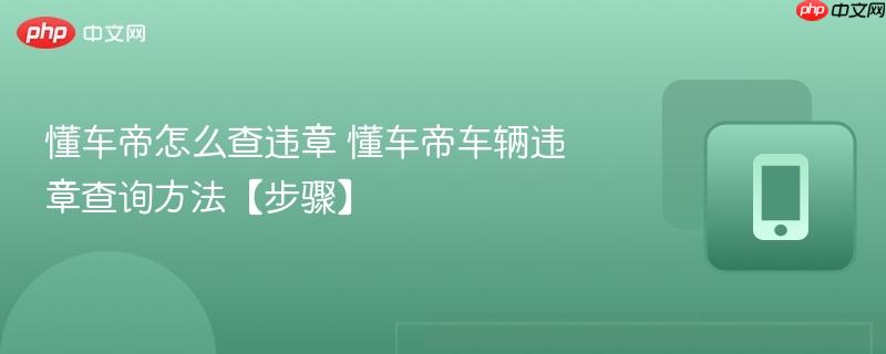 懂车帝怎么查违章 懂车帝车辆违章查询方法【步骤】
